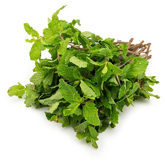 Mint / पुदीना