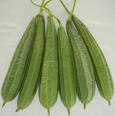 Turai 250gm 