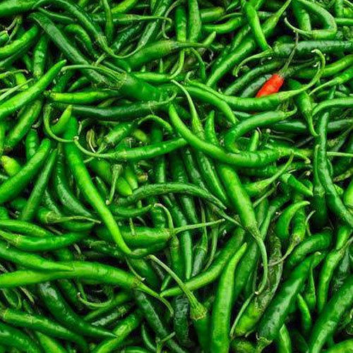 Green Chilly 100gm